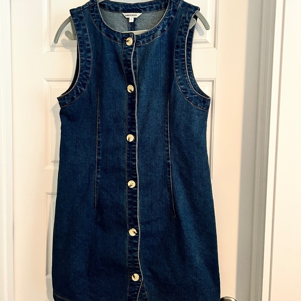 Vigoss Denim Dress